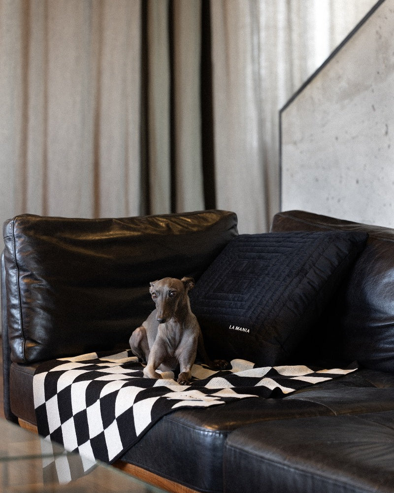 Koc Lungo Dog