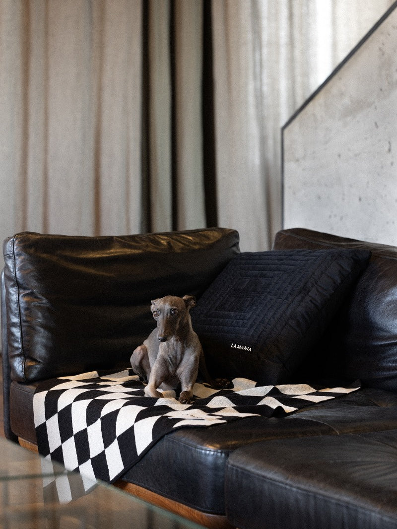 Koc Lungo Dog