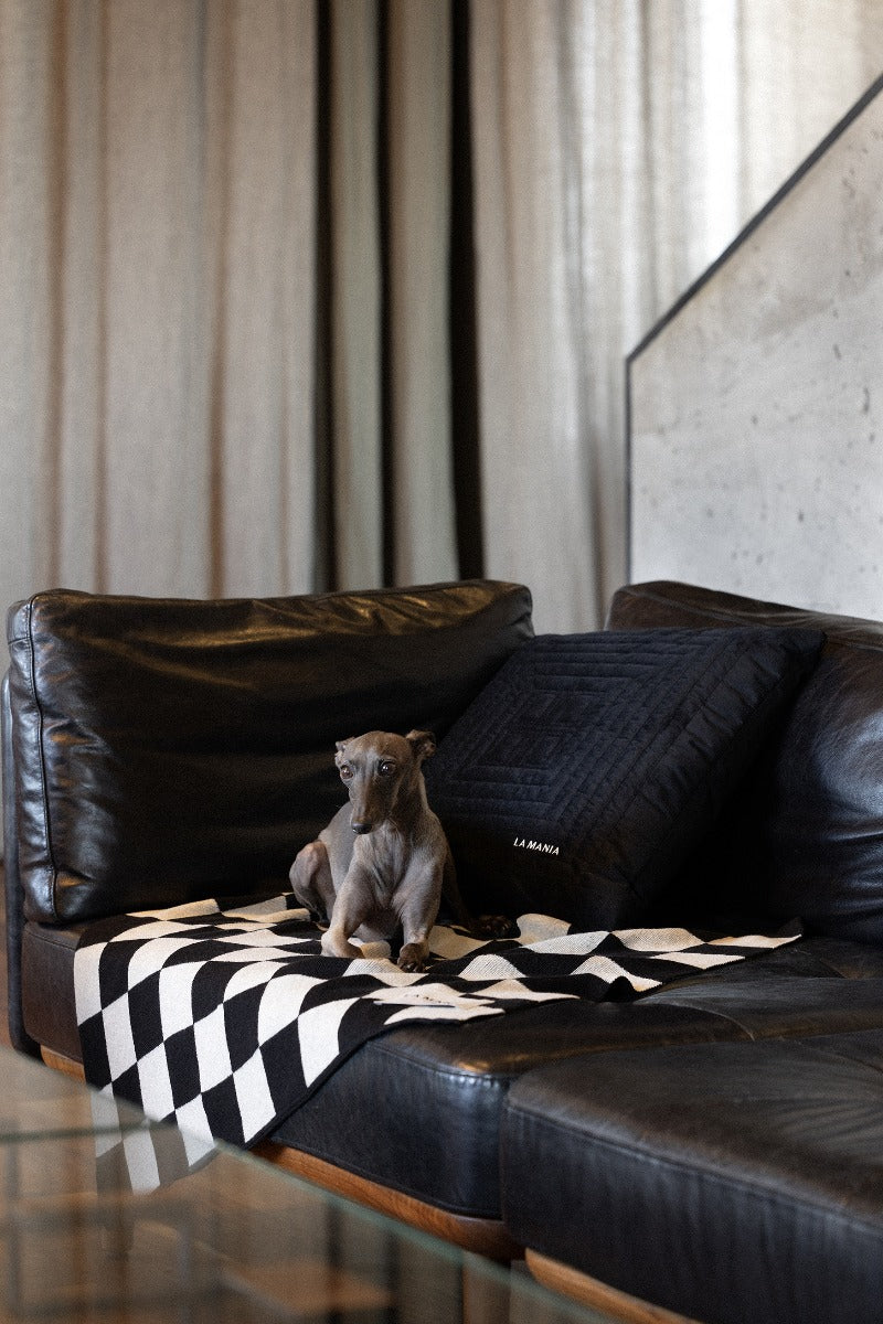 Koc Lungo Dog
