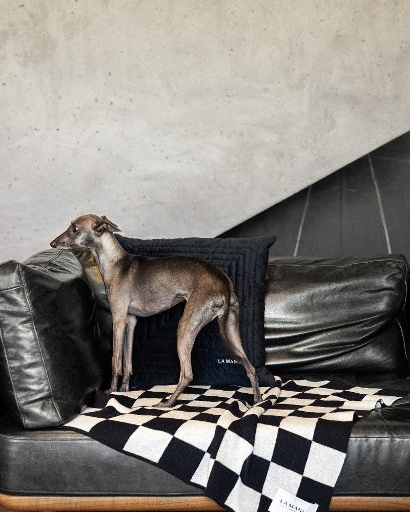 Koc Lungo Dog