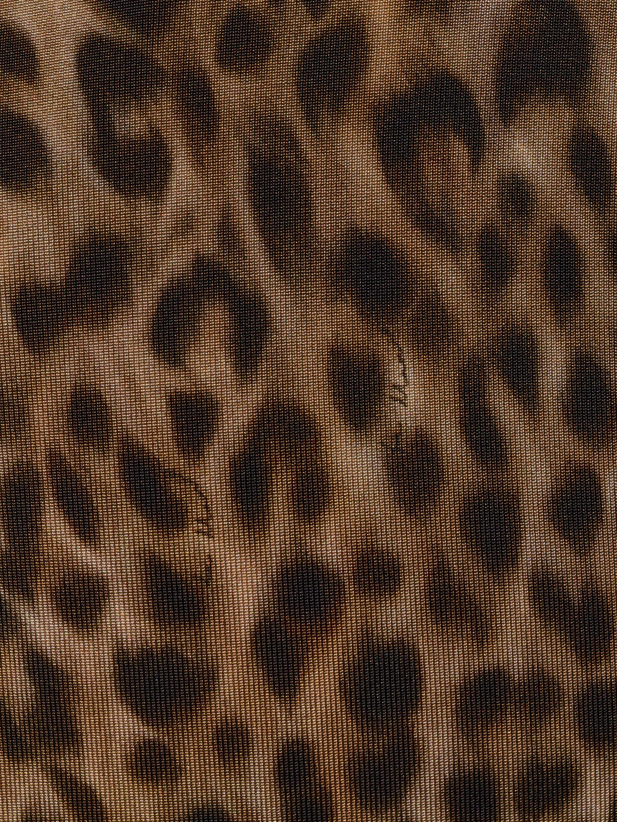 BODY ZARIAH LEOPARD PRINT